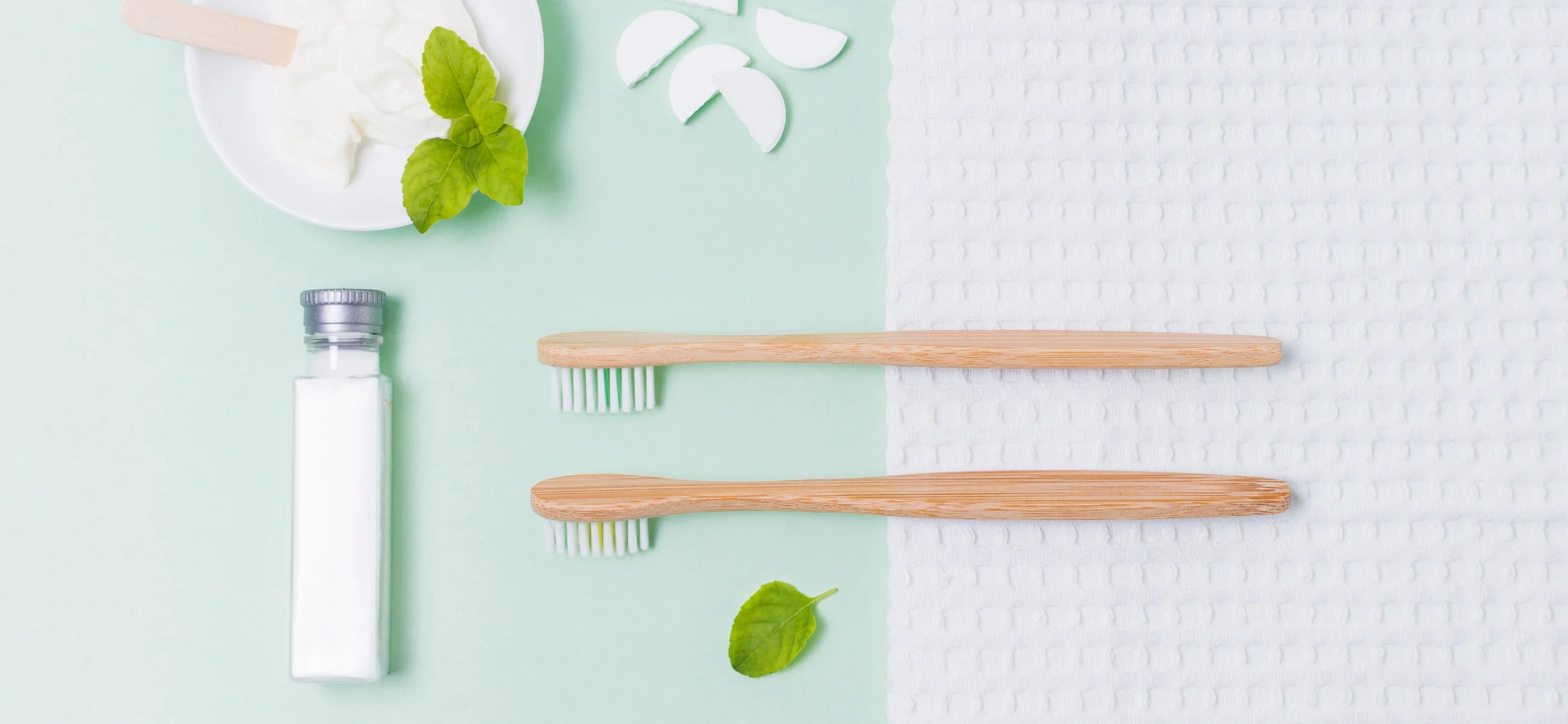5 best manual toothbrushes of 2024 - Tested and reviewed