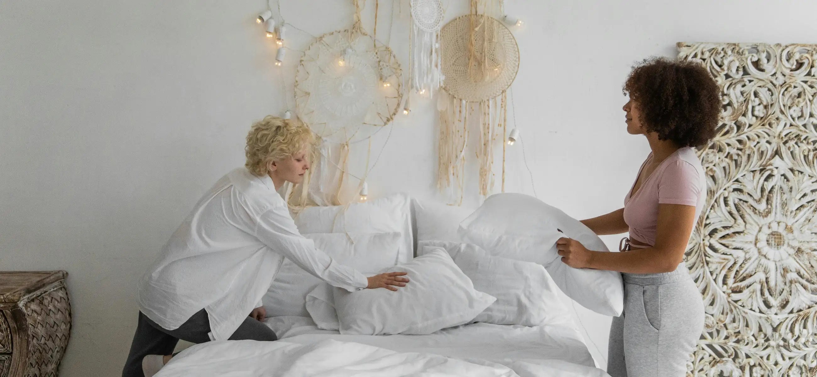 Can we kill bed bugs with a hair dryer?