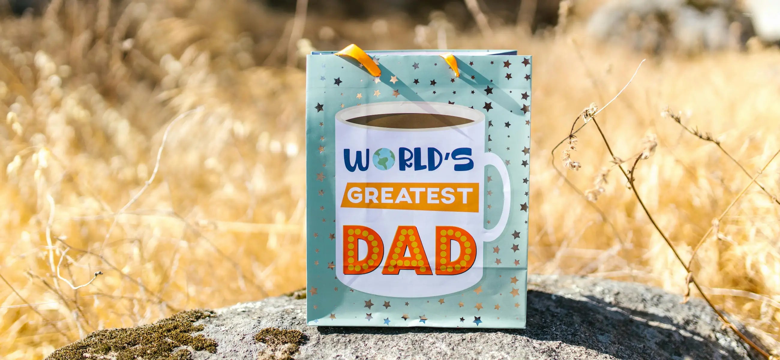 8 recommended cheap Father's Day gifts you can opt for
