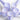 Color_Matte Purple